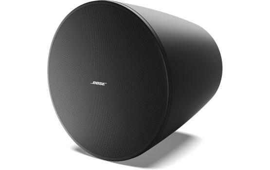 Bose Pro DesignMax DM10P-SUB schwarz 