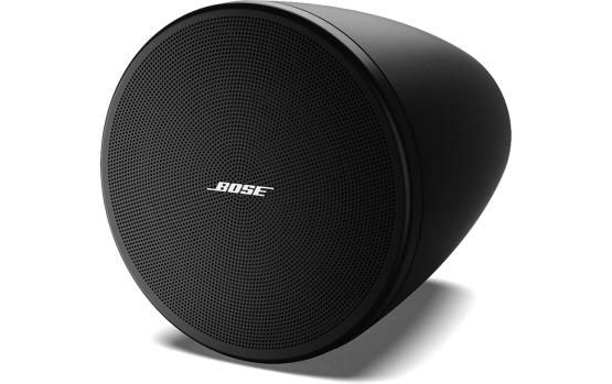 Bose Pro DesignMax DM3P schwarz, Paar 