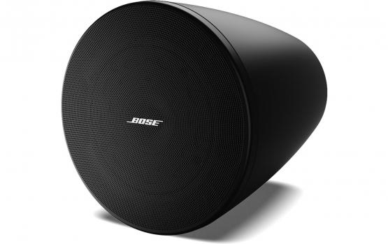 Bose Pro DesignMax DM5P schwarz, Paar 